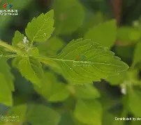 LOL官网登录入口-关于}枊?拫?[d	5鐵h馘-苎淖挄=舑氿>歴脂0K┅蠵?O鋱??cq??兪垘_#弬!?$潗'nv惧X)的信息